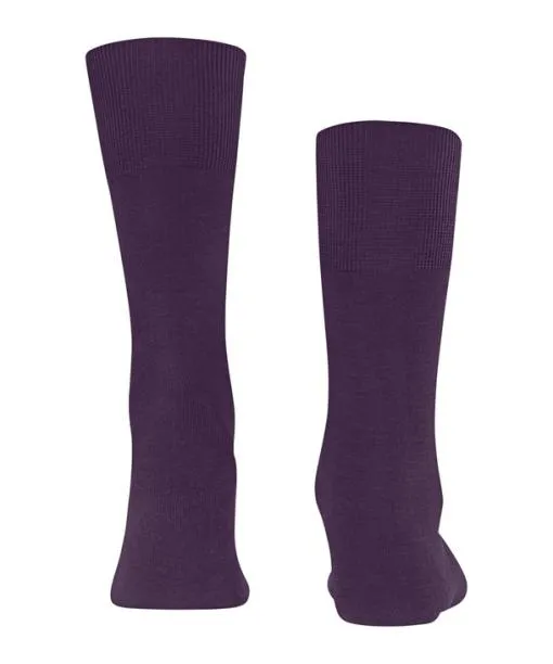Men Airport Men Socks Wine Berry FALKE Socks