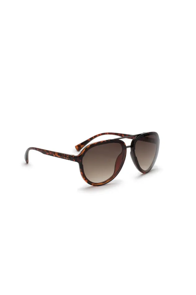 Men Aviator Sunglasses With Dark Tortoise Frame Tortoise Buffalo David Bitton Sunglasses