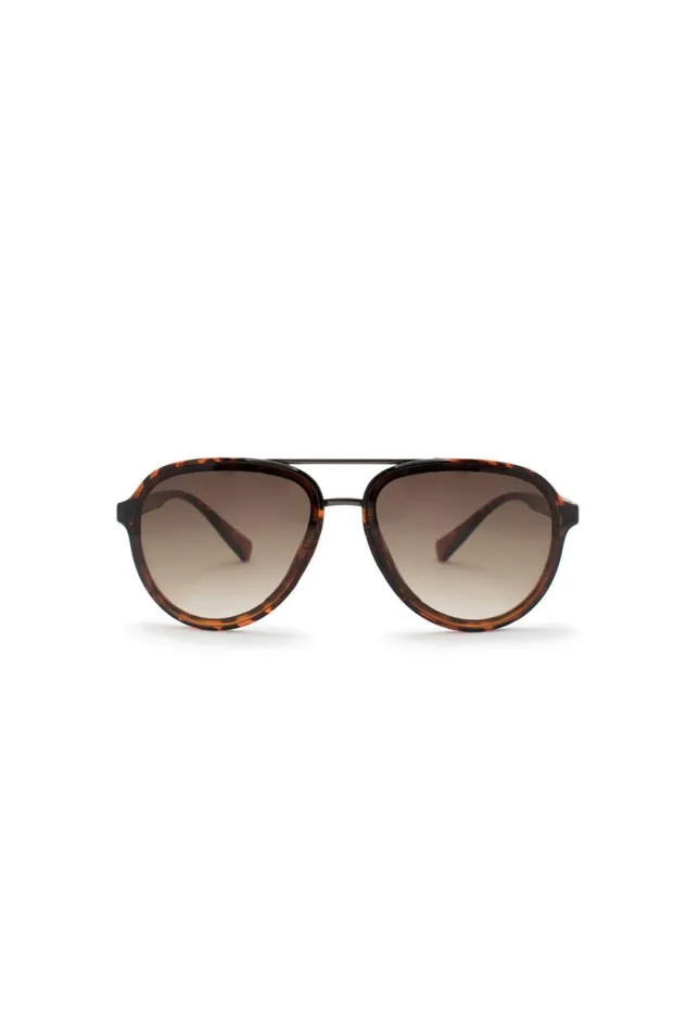 Men Aviator Sunglasses With Dark Tortoise Frame Tortoise Buffalo David Bitton Sunglasses
