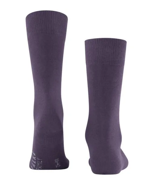 Men Family Men Socks Amethyst FALKE Socks