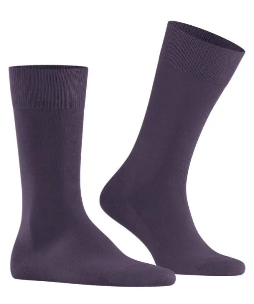 Men Family Men Socks Amethyst FALKE Socks