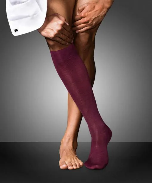 Men No 6 Finest Merino and Silk Men Kneehigh Socks Barolo FALKE Knee High Socks Men No 6 Finest Merino and Silk Men Kneehigh Socks Barolo FALKE Knee High Socks