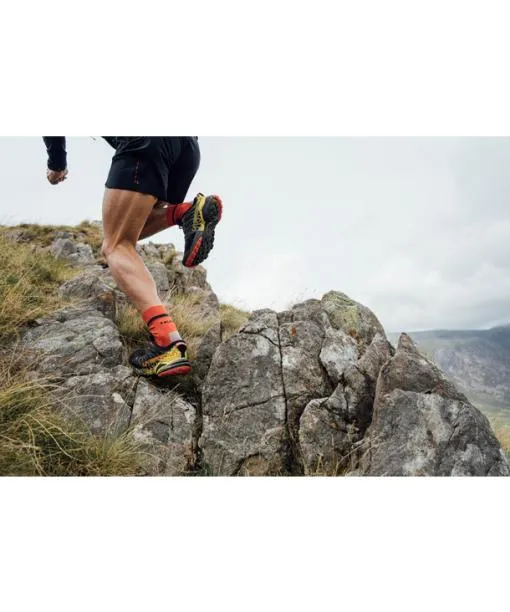 Men RU4 Endurance Men Running Socks Lightgrey FALKE Running Socks
