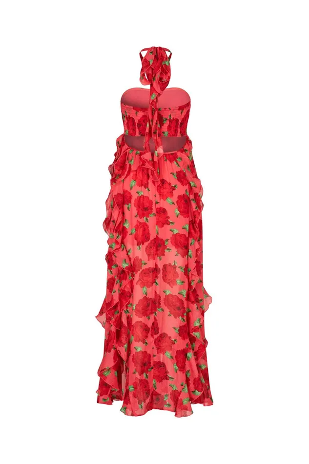 Valentina Dress 8211 Coral Roses Women Cras Dresses