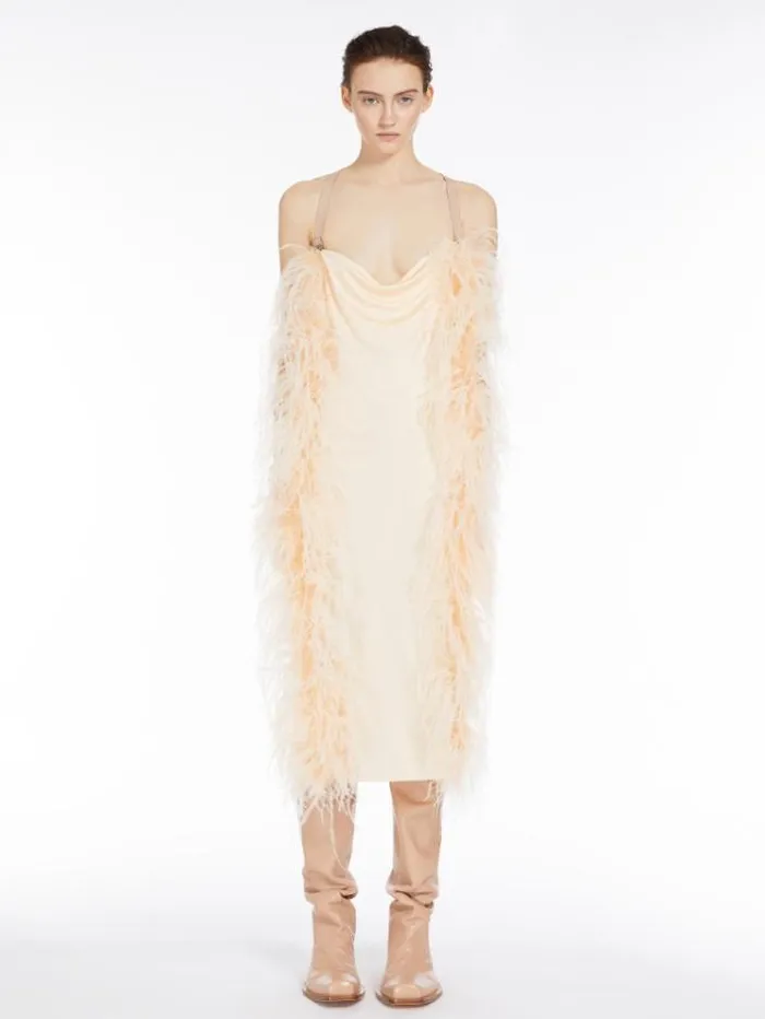 Woman Feather Boaadorned Shiny Jersey Dress Powder Maxmara Dresses