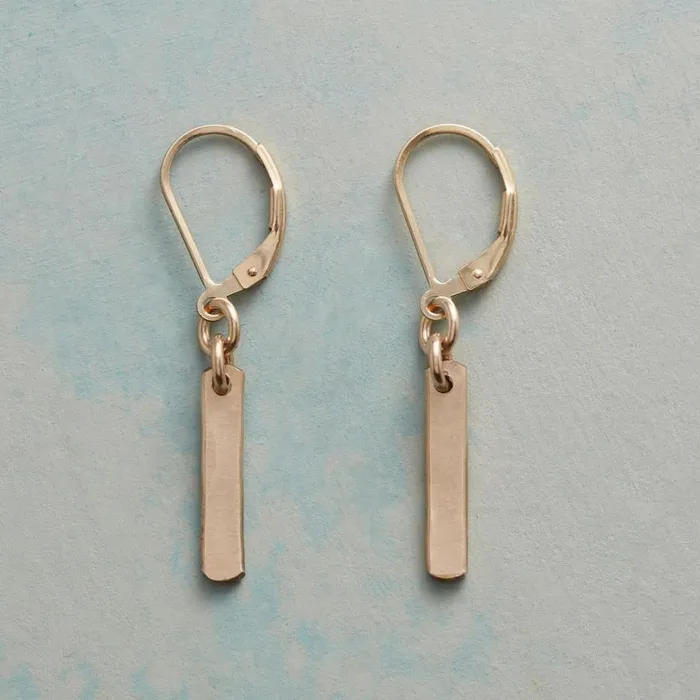 Women Broad Stroke Earrings Sundance Catalog Earrings